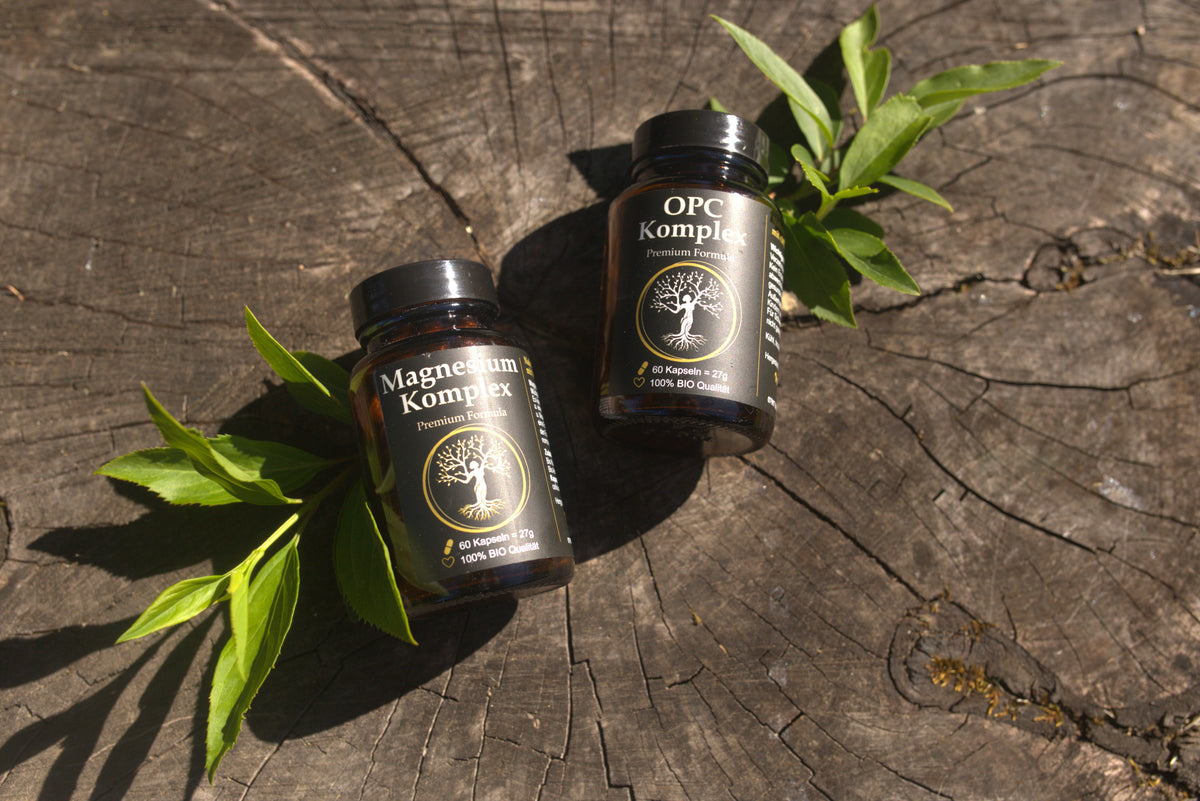 GreenSpark Nutrition Start-Bundle